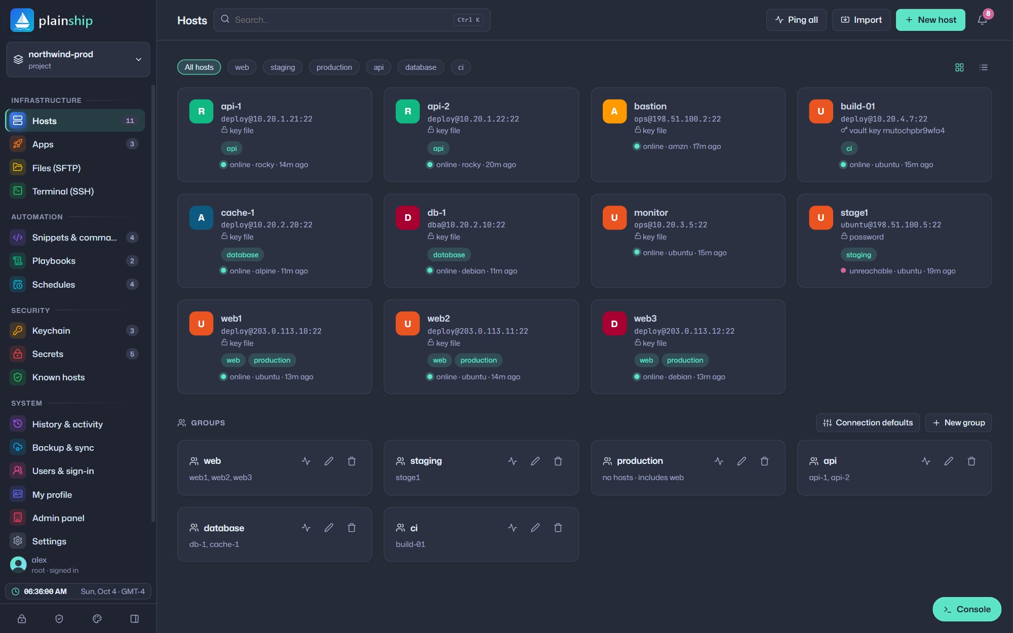 PlainShip dashboard showing eleven servers with online status, groups and tags