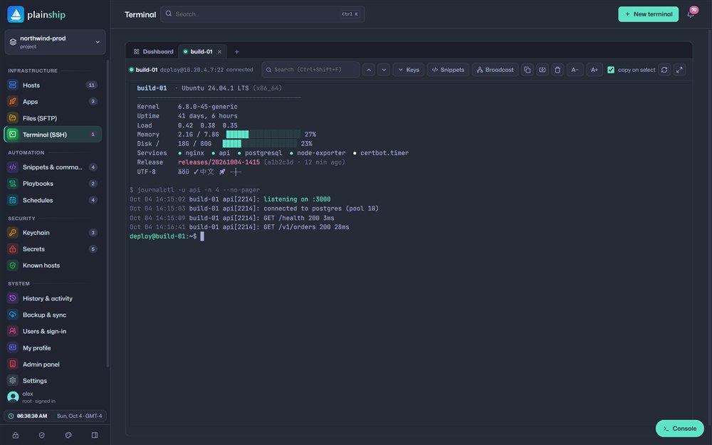 Browser SSH terminal connected to an Ubuntu server